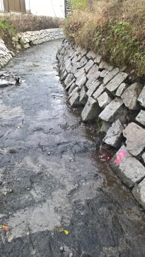 wp_20161108_13_17_39_pro