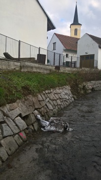 wp_20161108_13_23_52_pro