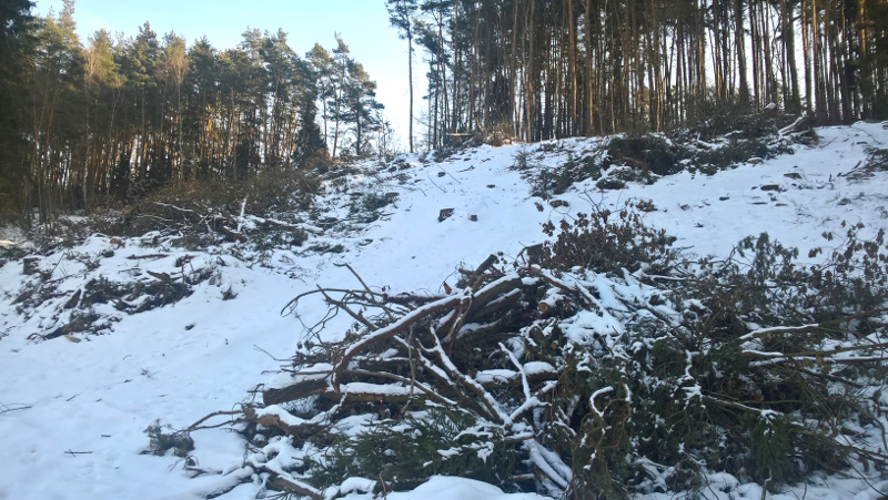 vytyčení lesního pozemku