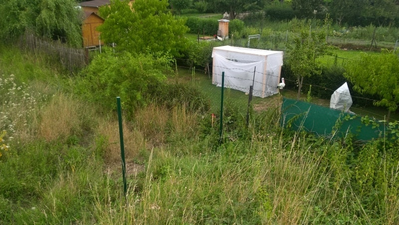 rozdělení pozemku v Horšovském Týně